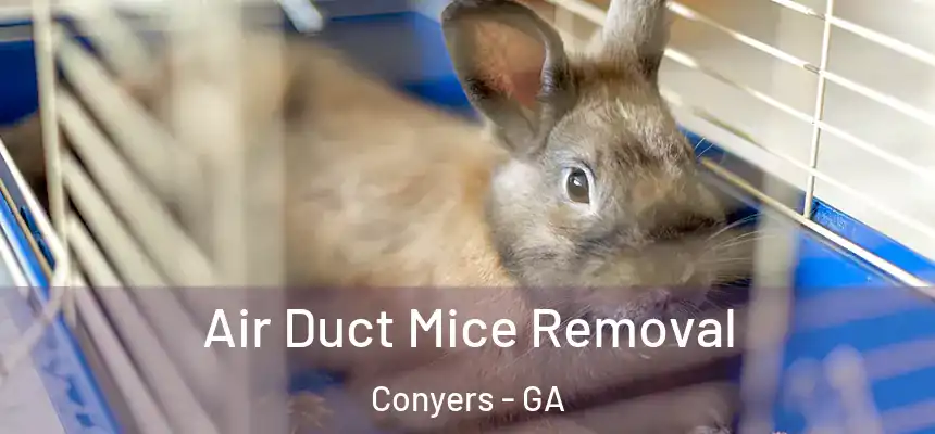  Air Duct Mice Removal Conyers - GA