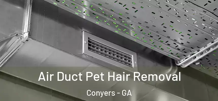  Air Duct Pet Hair Removal Conyers - GA