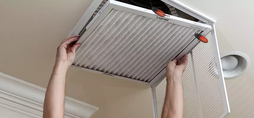 Our Insect Removal from Air Ducts Services in Conyers, GA