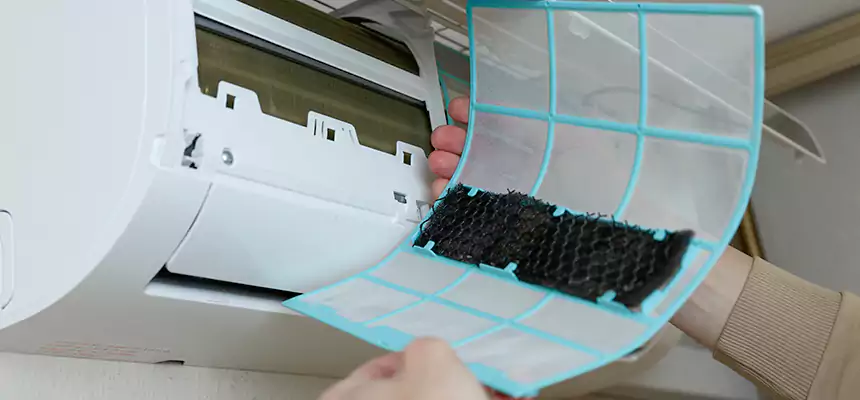 Gentle Ductwork Odor-Control Pet Dander Duct Cleaning in Conyers, GA