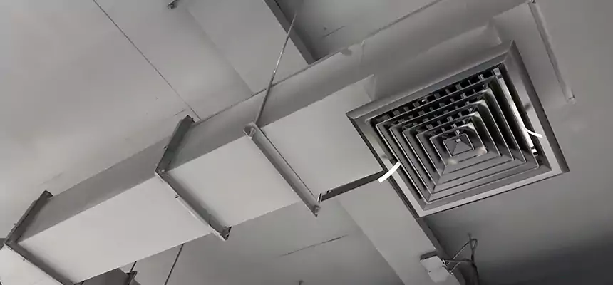 Our Rodent Droppings In Vents Services in Conyers, GA