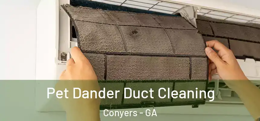  Pet Dander Duct Cleaning Conyers - GA