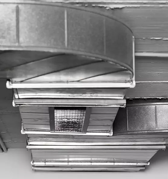 Professional Air Duct Pet Hair Removal in Conyers, GA