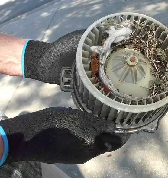 About Air Duct Rat Removal in Conyers, GA