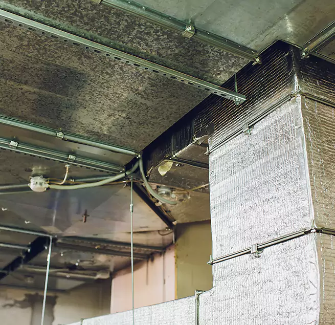 Why Homeowners & Businesses Trust Us in Conyers, GA?